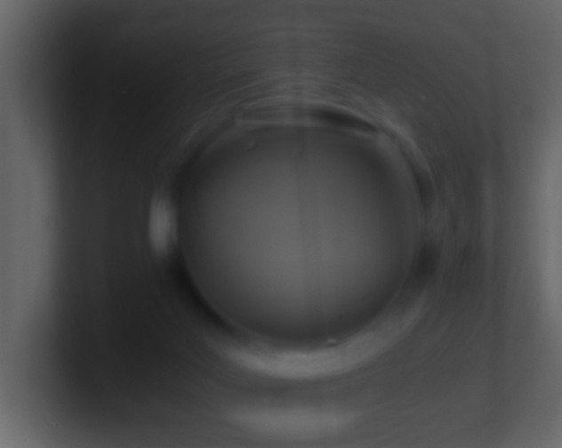 X0000101410027200807071304