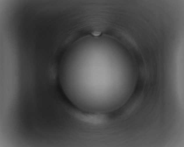 X0000101410032200807071304