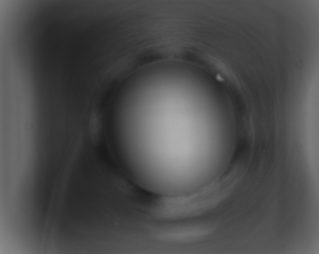 X0000101410037200807071304