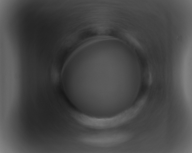X0000101410039200807071304