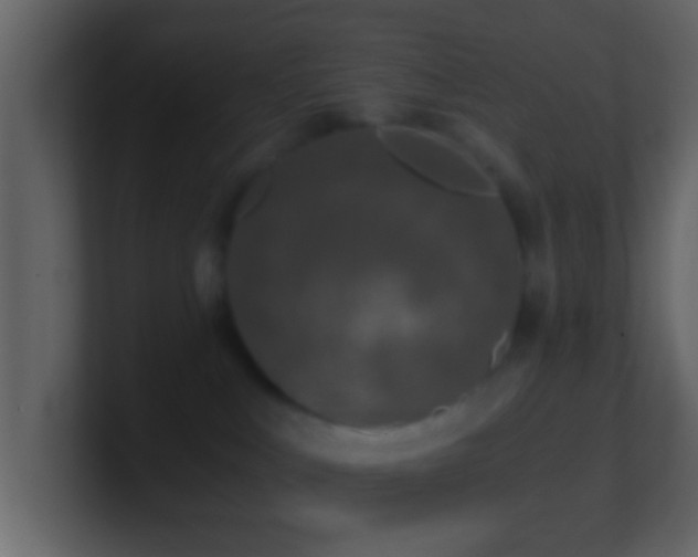 X0000101410043200807071304