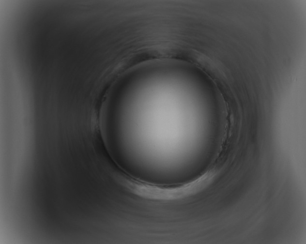 X0000101410048200807071304