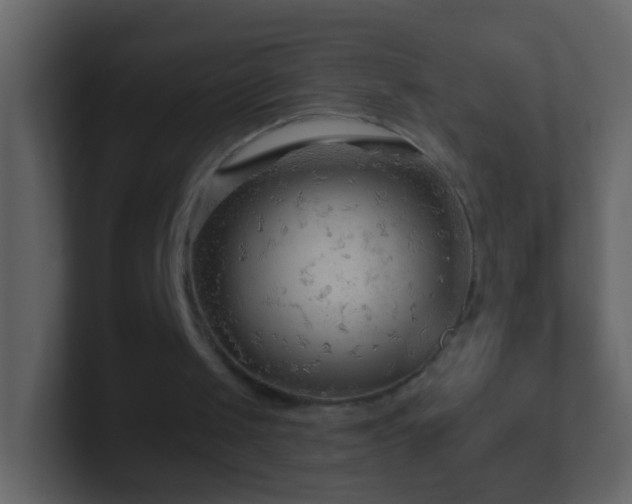 X0000101410049200807071303