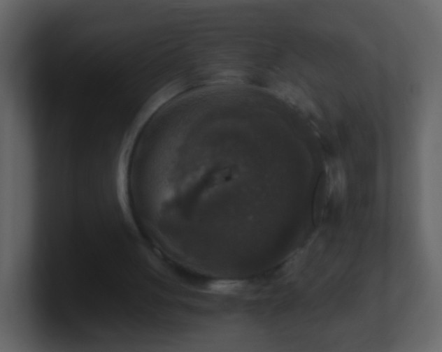 X0000101410051200807071303