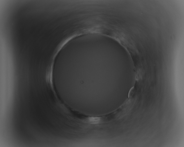 X0000101410052200807071303