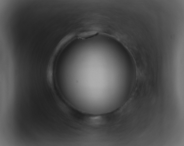 X0000101410054200807071303