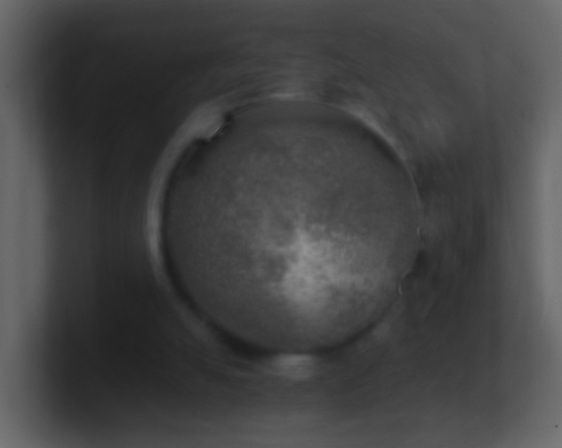 X0000101410055200807071303