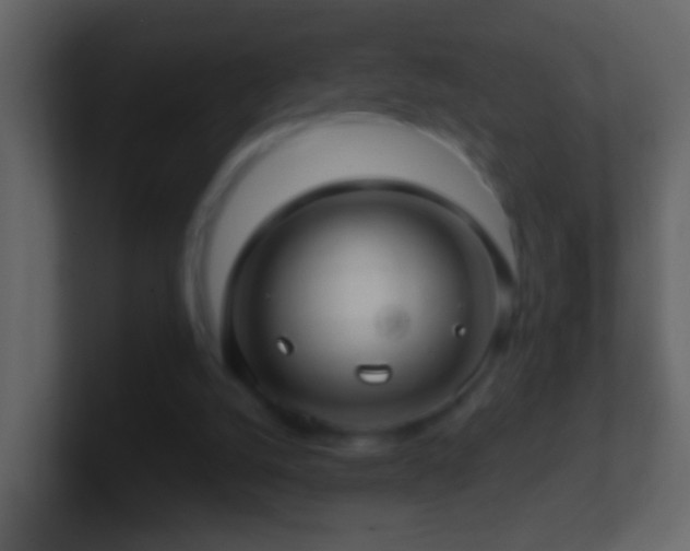 X0000101410056200807071303