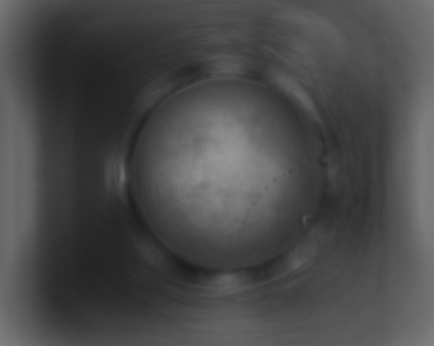 X0000101410059200807071303