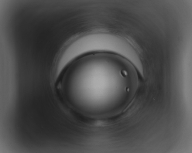 X0000101410060200807071303