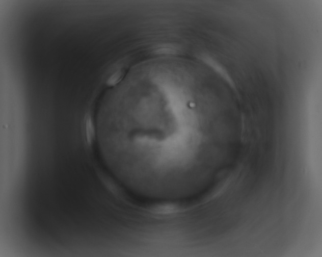 X0000101410061200807071303