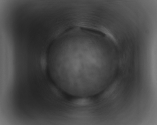 X0000101410065200807071303