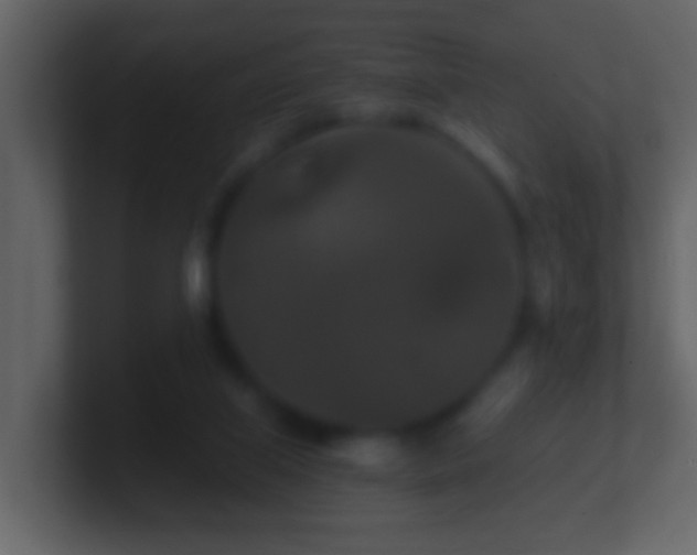 X0000101410067200807071303
