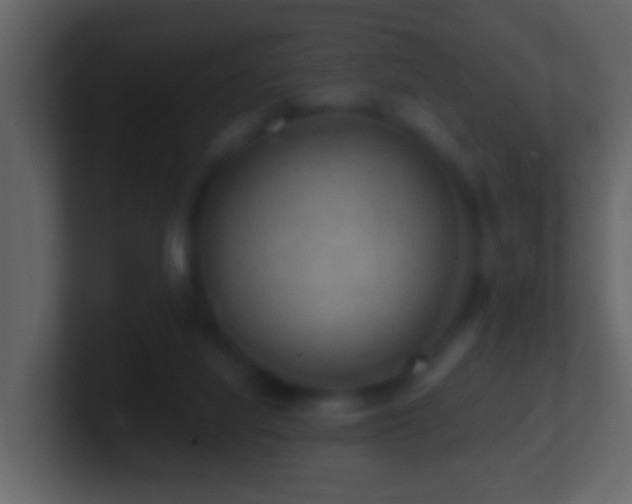 X0000101410068200807071303