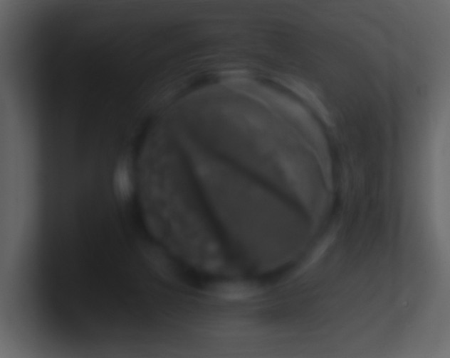 X0000101410069200807071303