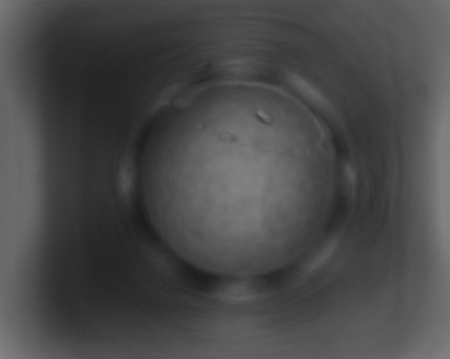 X0000101410072200807071303