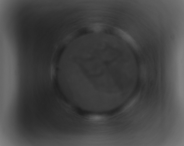 X0000101410073200807071303