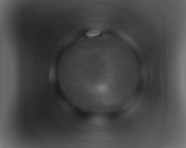 X0000101410074200807071303