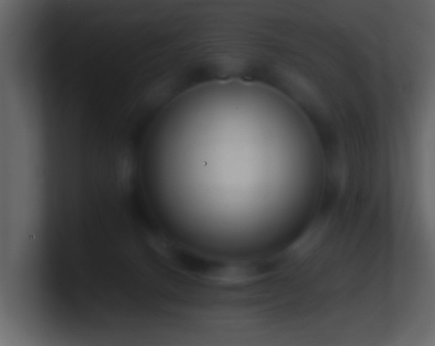 X0000101410082200807071304