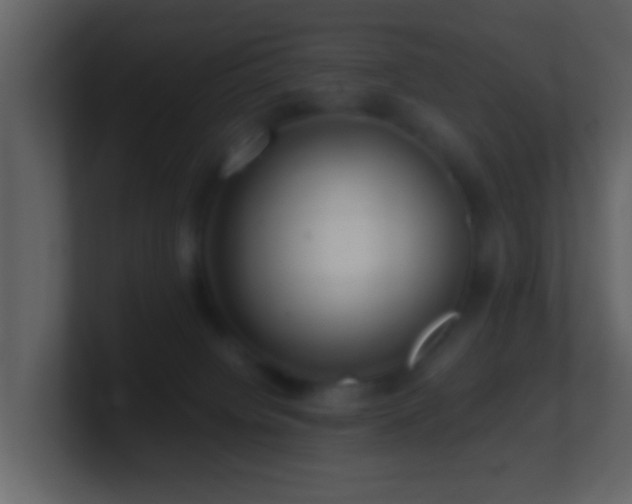 X0000101410084200807071304