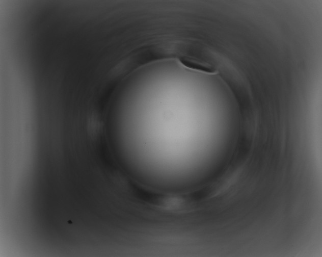 X0000101410085200807071304