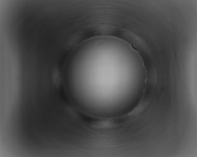 X0000101410086200807071304