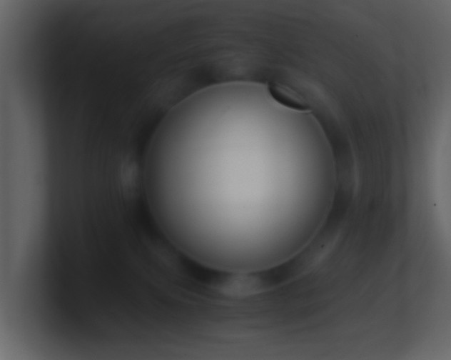X0000101410087200807071304
