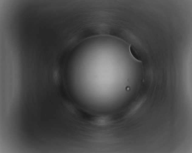 X0000101410088200807071304