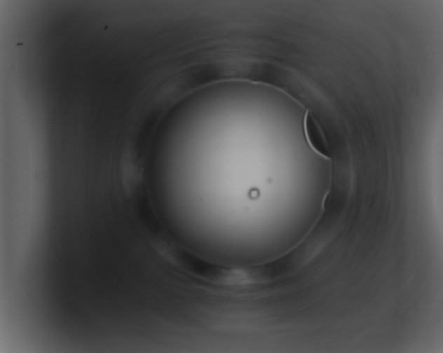 X0000101410091200807071304