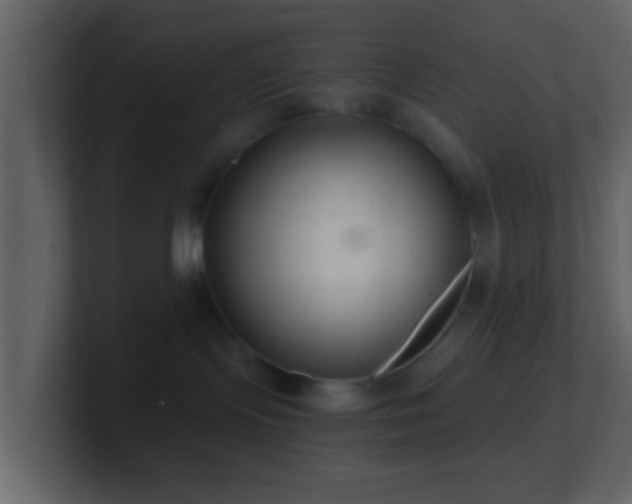 X0000101410095200807071304