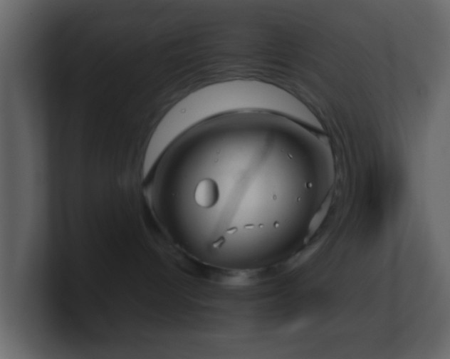X0000101410096200807071304