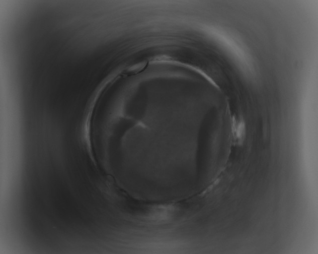 X0000101410099200807071303