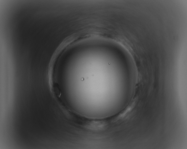 X0000101410101200807071303