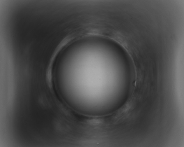 X0000101410102200807071303