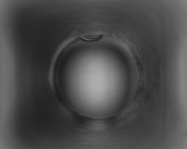X0000101410104200807071303