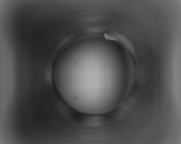 X0000101410107200807071303