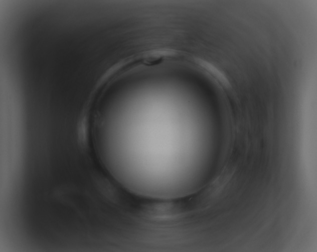 X0000101410108200807071303