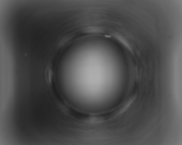 X0000101410109200807071303