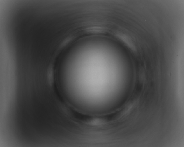X0000101410111200807071303