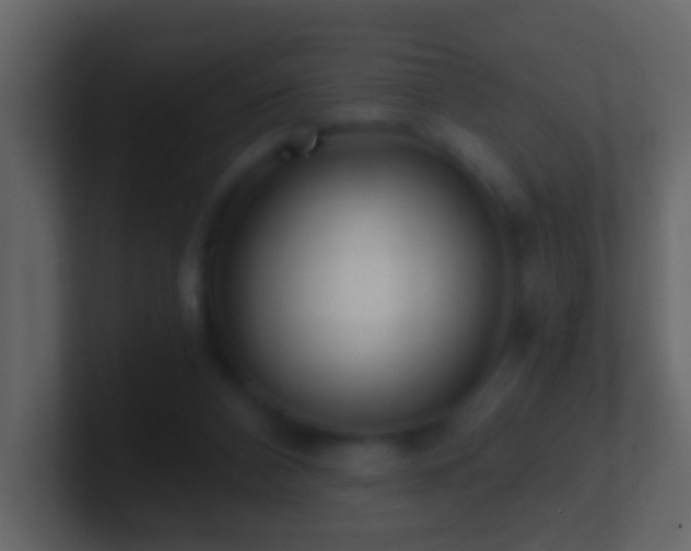 X0000101410112200807071303