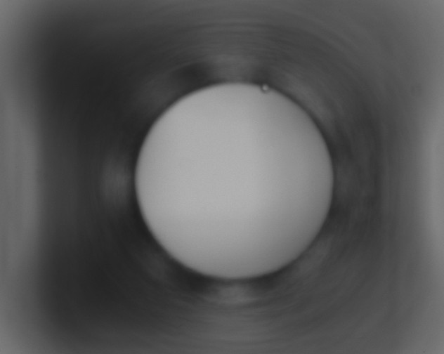 X0000101410113200807071303