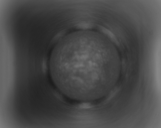 X0000101410114200807071303