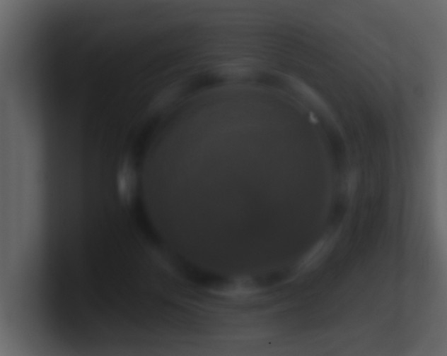 X0000101410124200807071303