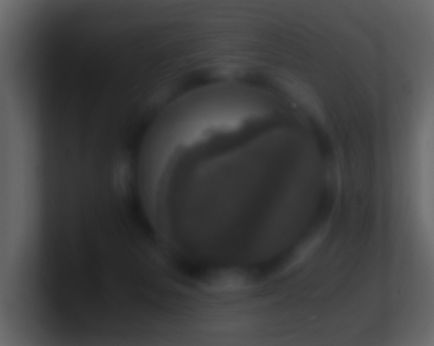 X0000101410127200807071303