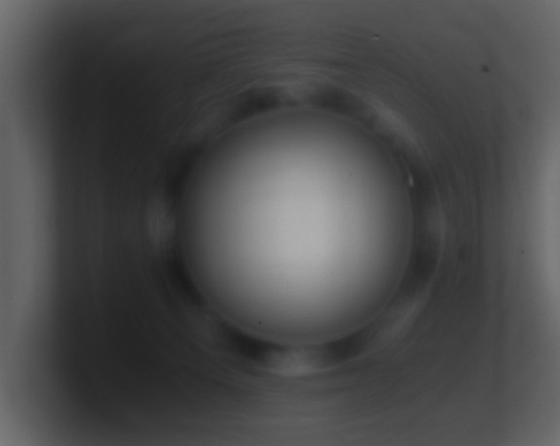 X0000101410129200807071303