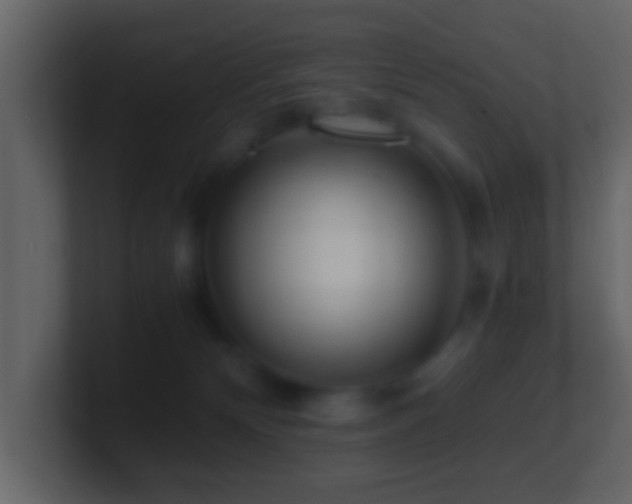 X0000101410132200807071303