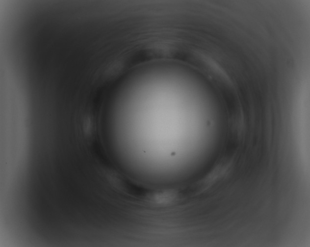 X0000101410134200807071303