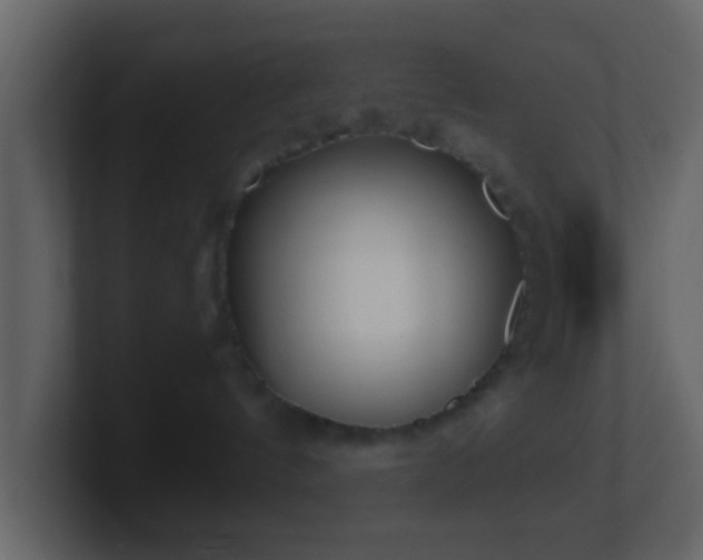 X0000101410144200807071302
