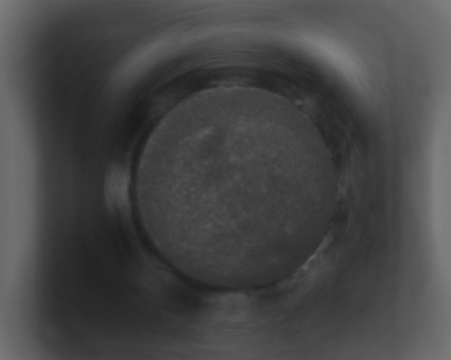 X0000101410146200807071302