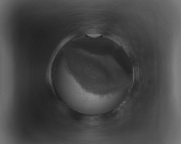 X0000101410147200807071302